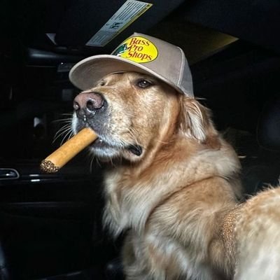 quant_exe's profile picture. Hyperliquid &amp; Stable Farm Enjoyooor 👨‍🌾