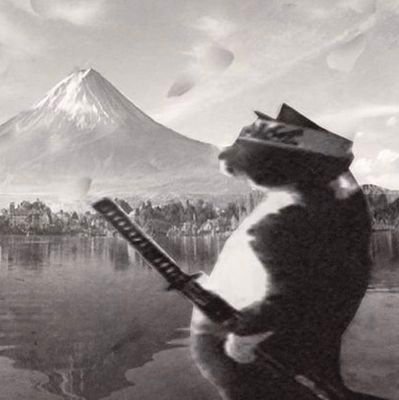 caradosuporte_'s profile picture. so, patriotism is your excuse for circumventing the Constitution?