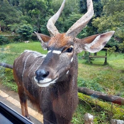 goddamnwin's profile picture. 