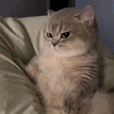 totototototo__1's profile picture. 2002🇯🇵INFP ψ(｀∇´)ψ