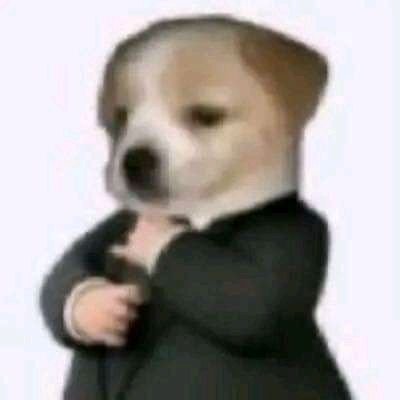 muccher3's profile picture. へたくそ