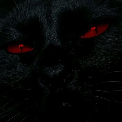 ZeekXBT's profile picture. Crypto Enthusiast | Blockchain Enjoyoor |  Zcash Bulliever