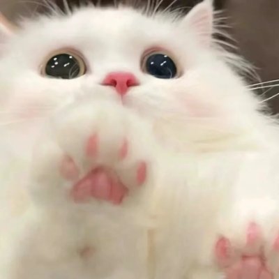 A_Echo_V's profile picture. I love exploring new things and am passionate about experiencing the various joys of life