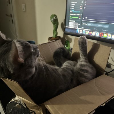 rezwasfired's profile picture. code runs fine. i don't | vibe coder | 0 to 1 https://t.co/Hrbtel05fi 📑 $350/m