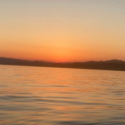 paulapopsicle's profile picture. Mother, wife & Daughter. Hardworking business owner. sick of MSM....especially BBC. Never Labour & all they stand for. Buy British where you can. 🇬🇧 No DMs