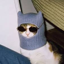 sissyempirex's profile picture. I love to chat cum say hi to my 7inch friend. my OF is Free for now, if you're curious more of me 👇🏻