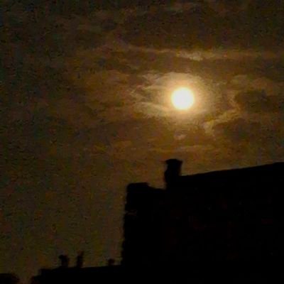 sorayyaRezaei00's profile picture. Just started learning Python.
 Thank you for this amazing opportunity and support.
#WomenInTech      @CodeToInspire #AfghanGirlsCode     @a_daneshyar