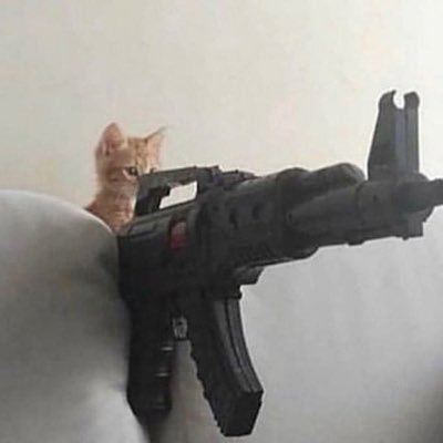 snakecryptid's profile picture. 