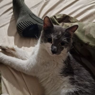 purple_neol's profile picture. Just a soldier ready to die for his country 🇺🇦