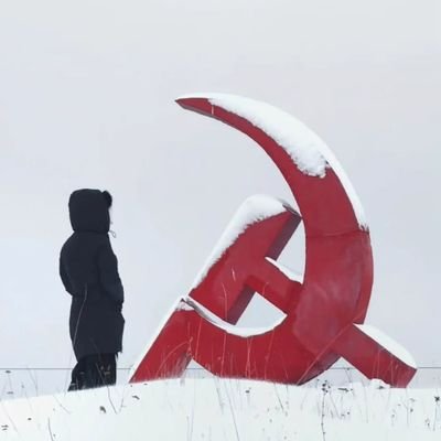 social_paradoxx's profile picture. 