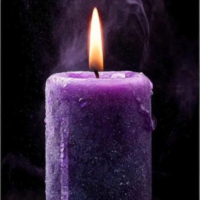 GorgeousChasm's profile picture. Wild heart, gentle soul🤍🎇