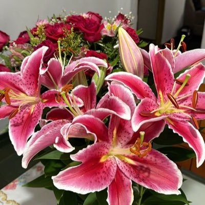 caassss__'s profile picture. 🇵🇸