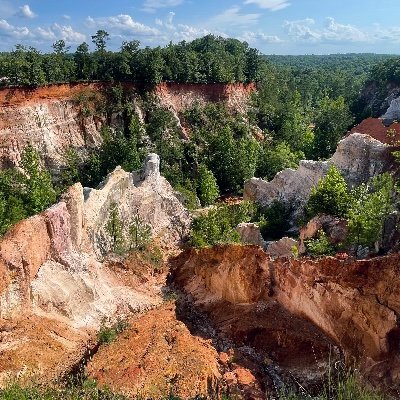 SaintLinoLeum's profile picture. Y'all ever seen Wreck it Ralph?