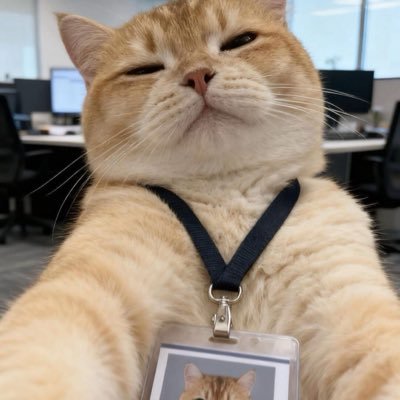 Ttamg8x's profile picture. 