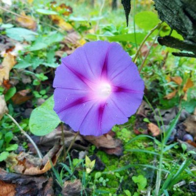 soforhope's profile picture. 🇰🇷 BTS ᴼᵀ⁷ 🐱🎹Yoongi ♡ Hoseok🌻🐿
#아포방포 #BTSourForeverArtist
❝ₜₕₐₙₖ 𝓰ₒ𝒹 𝓌ₑ ₐᵣₑ 7 ₜₕₐₙₖ 𝓰ₒ𝒹 𝓌ₑ ₐᵣₑ ₜₒ𝓰ₑₜₕₑᵣ❞
🇹🇭 ᴾ 🐻 #ปอนด์ภูวินทร์ 🐼 ᴾ𝓌 & 𝒸✿⋆｡