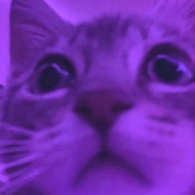 BangtanGirl2019's profile picture. 🇵🇸🇨🇩
BTS ♡
Xiao Zhan ♡
( BJYX) 
MileApo ♡
YinWar ♡
BounPrem ♡
PondPhuwin ♡
GeminiFourth ♡
YT : @bongoxiao ♡