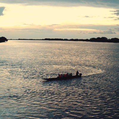 cryptofever1225's profile picture. Crypto Enthusiast 🚀