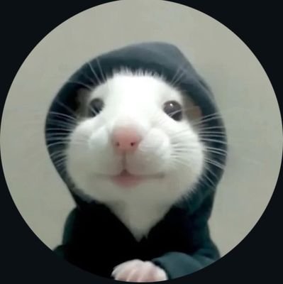 TraceX0_0's profile picture. Bug Hunter | CTF Player | Captain @0xDEADFA11