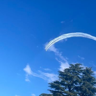 kaede87garden's profile picture. 格闘技🔥中心雑多アカにします多分。ﾌｨﾌの子持ちですがなにか。最近タロットにハマっています。空手少しやってました。お花好きです。自分用レシピとダイエット(多分)好きなもの😍💕🎸⚡️イマーノキヨシロー❤️ゆらゆら帝国💜RADWIMPS🩵POP EVIL❤️‍🔥MMA朝倉兄弟とそこから出会えた沢山の格闘家🔥