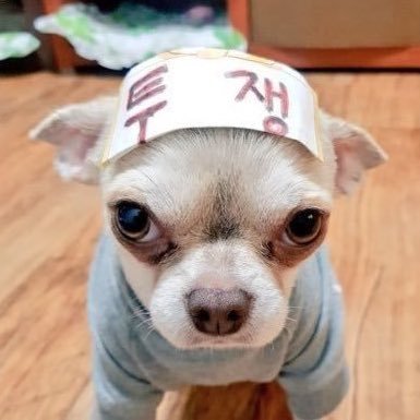 nclsfreedom's profile picture. 자유인