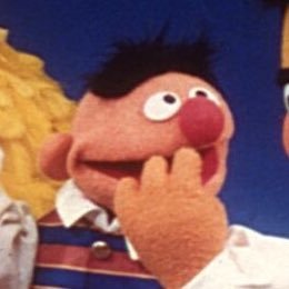 wiionthemoon's profile picture. Alejandro | 🇲🇽 | 9teen | he/it | yes, sesame street has a fandom | rt heavy !! | free 🇵🇸! | DNI: zionists, bigots, proship !!