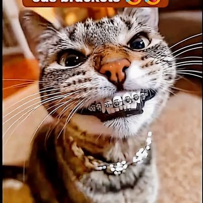 Jorg3_Manu3l666's profile picture. 💀👻☠️ME GUSTA VER EL MUNDO ARDER 🥷😎🔥