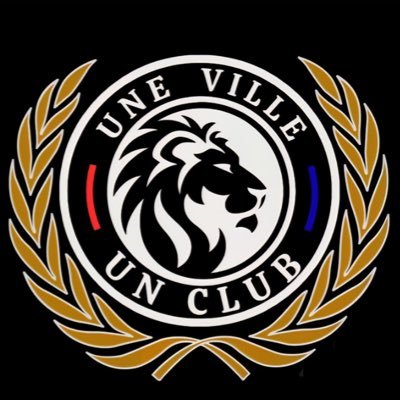 Uneville1ClubOf's profile picture. Regroupement de supporters de l’Olympique Lyonnais ❤️💙 Bloc 406 🔥Nouveau compte pour @UneVille_UnClub