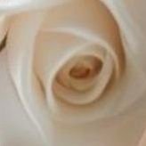 SlY7718's profile picture. 