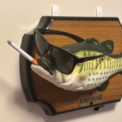 reverseguitarr's profile picture. i will hold you at gun point for a grape crsuh - trans rights are human rights - free palastine dumbass - he/him