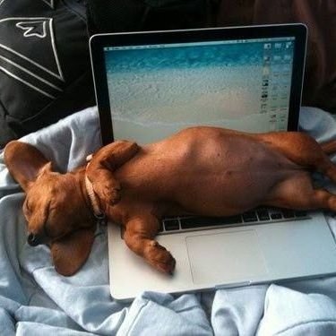 cammattio's profile picture. me ruega que firme pero mi alma no es barata