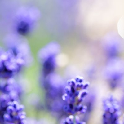 emue_222's profile picture. 