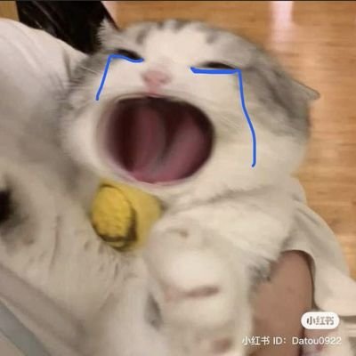 mingyue823's profile picture. ก็แค่ม๋ามอมๆตัวนึง 🐶