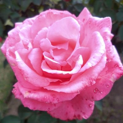 TbsaP9oJ1LKSBYf's profile picture. 