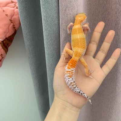 AirMert1's profile picture. はじめまして、千穂です