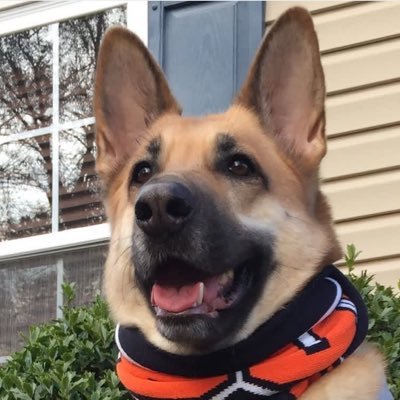 K9_Suriel's profile picture. Seeker🇺🇸Believer🇺🇸Patriot