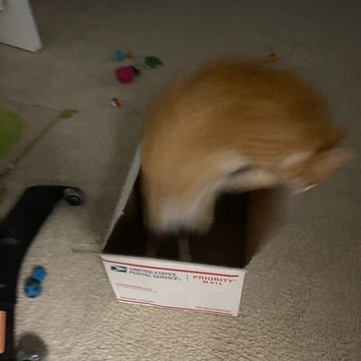 AvgHeathclifFan's profile picture. Just fuck off man.

🔞 1997