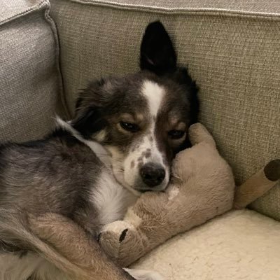 SRefeiz35325's profile picture. 