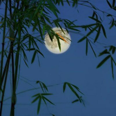 Snowdull2's profile picture. often, it's the last key that unlocks the door.