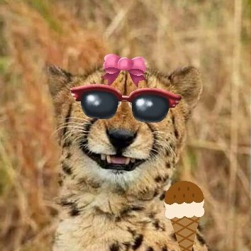 cheewalcott's profile picture. i'm scottish 🏴󠁧󠁢󠁳󠁣󠁴󠁿
old school grey muzzle scottish chee
banner made by @deer_husk
BSKY https://t.co/1ss0YzGped