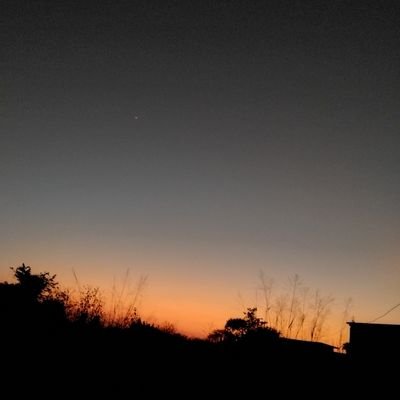 Alejand37549327's profile picture. buena onda