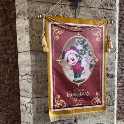 831_AKO_118's profile picture. 推し多数❥❥☞幸せを感じる🫶 生健は2021.5〜2021.9 First Love初恋😍ディズニー大好き🏰プロフの記載がない方からのフォローはブロックさせて頂きます❗️