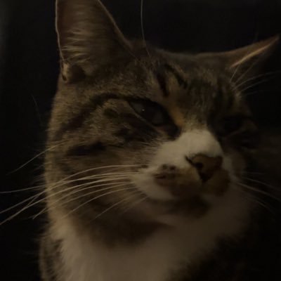 welfin__'s profile picture. pas solo et pas millionnaire