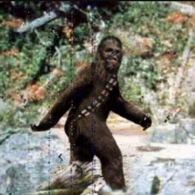 laowangchon's profile picture. experience failure on a daily basis.