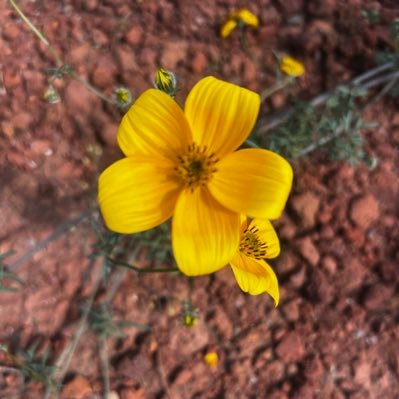 lpez_lpgn's profile picture. 