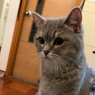 AveryS36276's profile picture. 