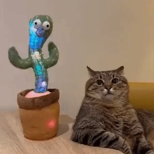 saesbyeol297432's profile picture. 오프 X / DM 말고 푸슝