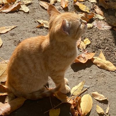 berf6sa2in26860's profile picture. Pioneer Wealth: Prof. Matthew’s AI + finance pros boost profits! Free 1st month. AI scans data, experts guide stocks/crypto. Click to join now!