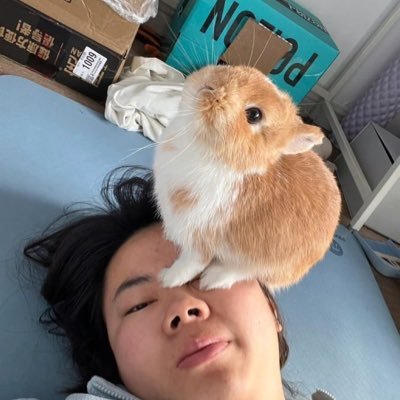 cm194284's profile picture. 