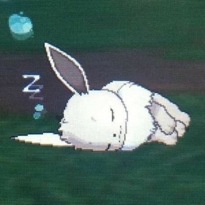 pochaccori's profile picture. je ne sais quoi