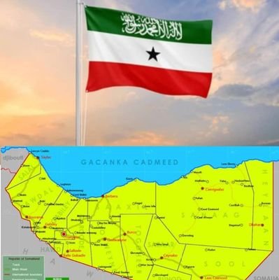 SiciidAdan6553's profile picture. 